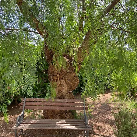 Casa Salento * ספקיה